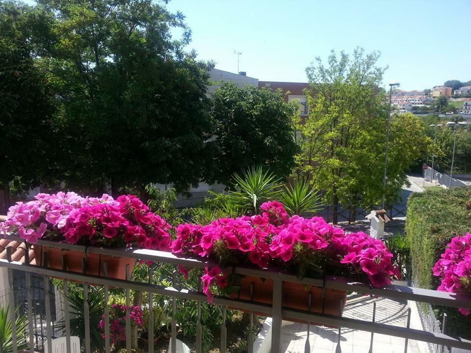 A Casa Di Nonna Panzió Loreto Kültér fotó